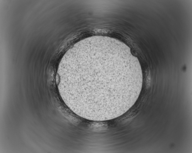 X0000115380619200912011207