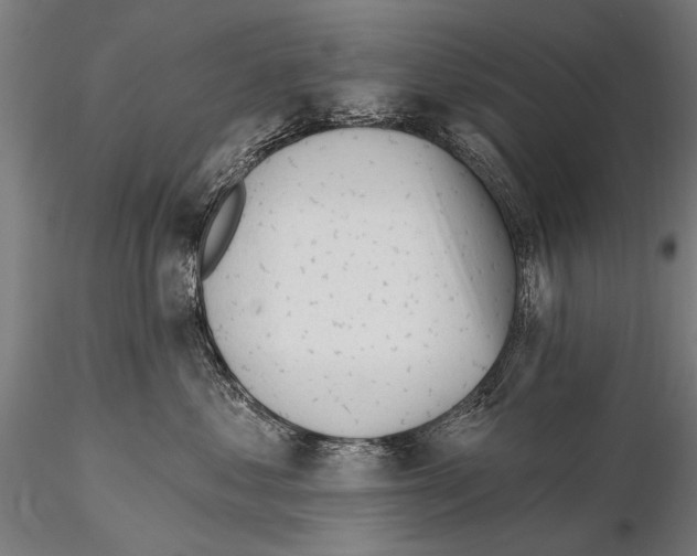 X0000115380621200912011207