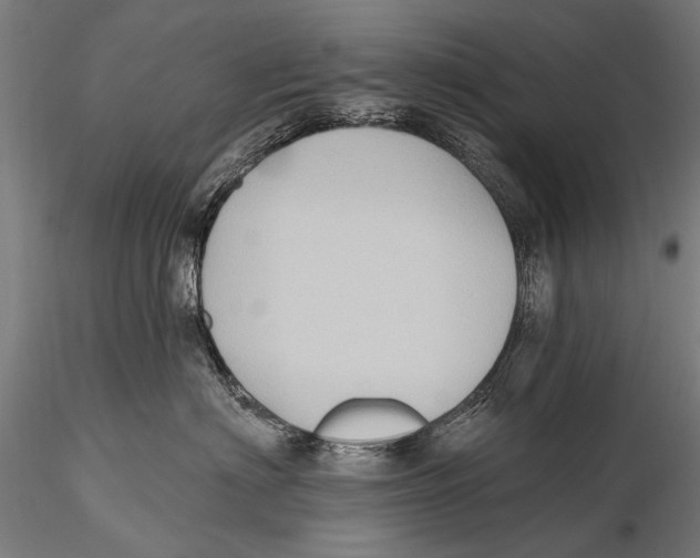 X0000115380622200912011207