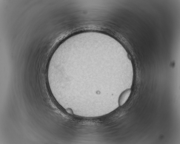 X0000115380625200912011206