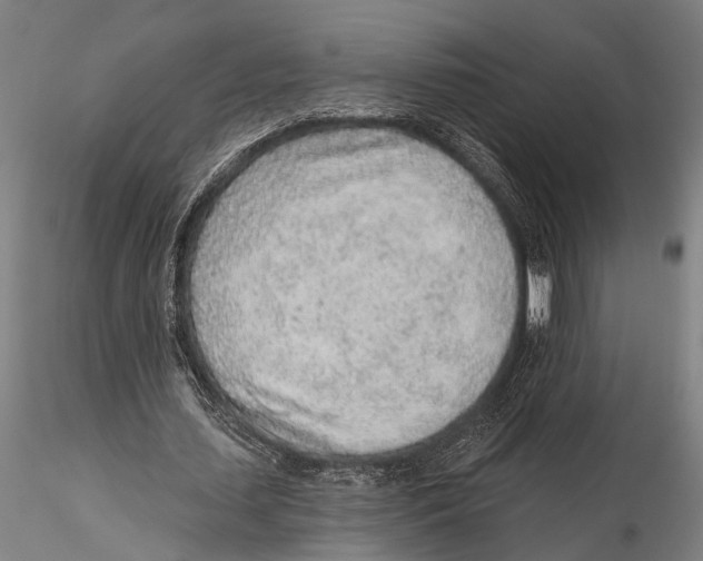 X0000115380627200912011206