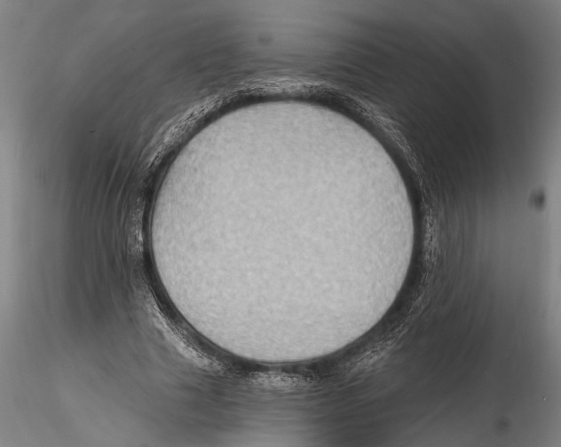 X0000115380633200912011206