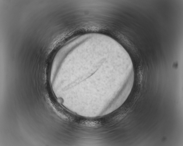 X0000115380638200912011206