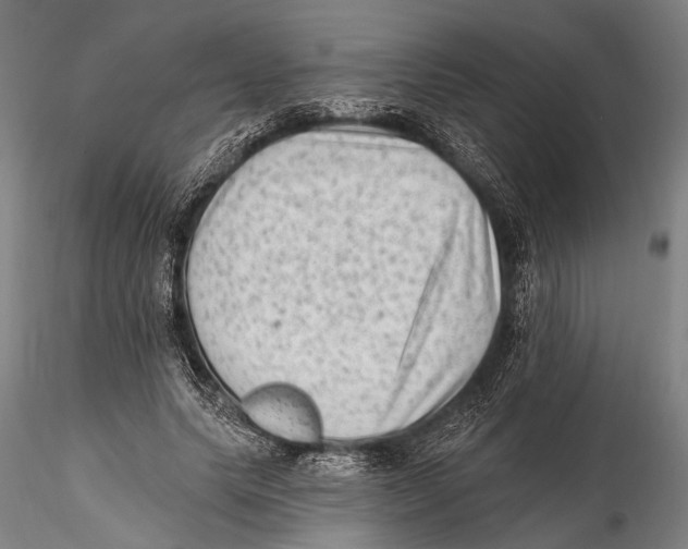 X0000115380639200912011206