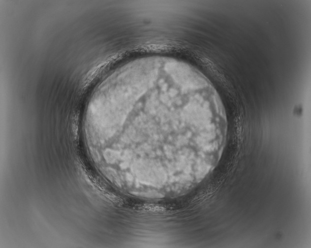 X0000115380640200912011206