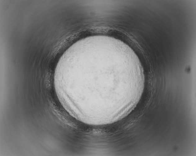 X0000115380641200912011206