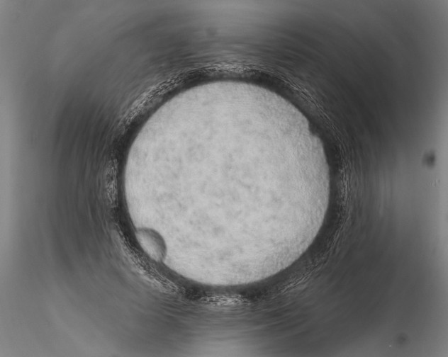 X0000115380642200912011206