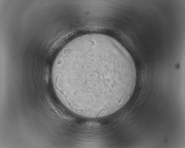 X0000115380644200912011206