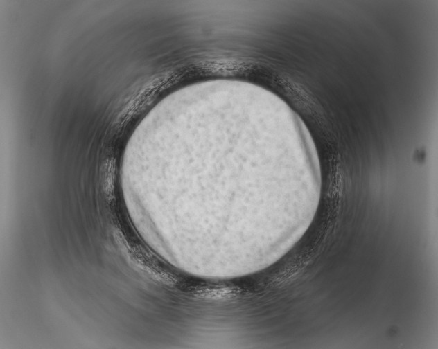 X0000115380646200912011206