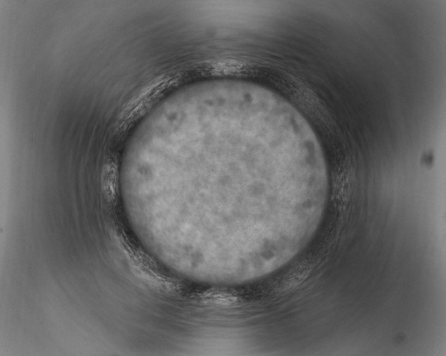 X0000115380648200912011206