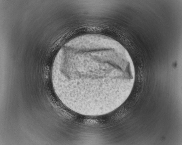 X0000115380649200912011206