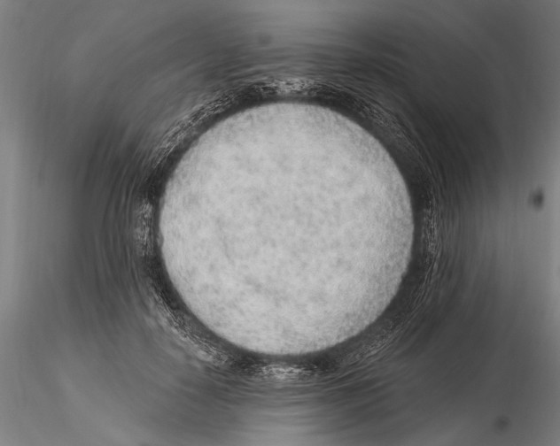 X0000115380650200912011206