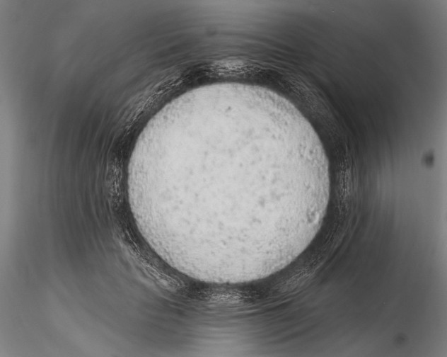 X0000115380653200912011206