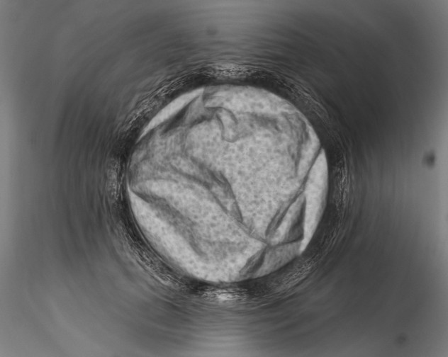 X0000115380655200912011206