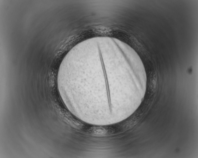 X0000115380658200912011206