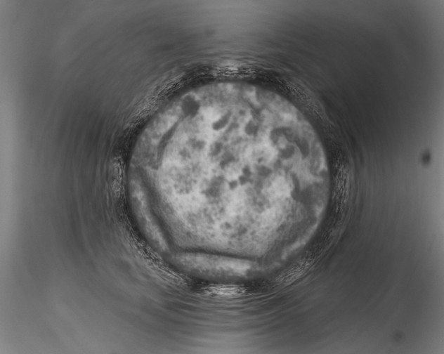 X0000115380659200912011207