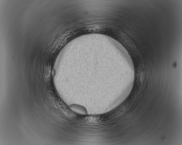 X0000115380660200912011207