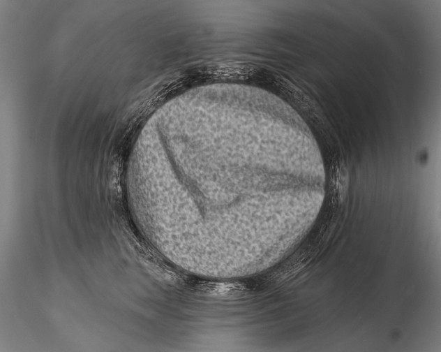 X0000115380663200912011207