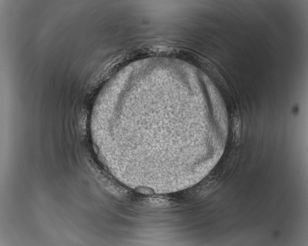 X0000115380668200912011207