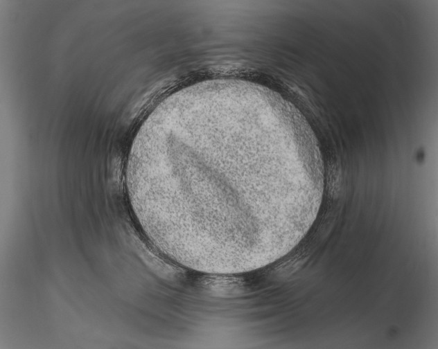 X0000115380670200912011207