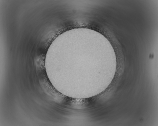 X0000115380672200912011207