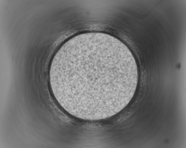 X0000115380673200912011206