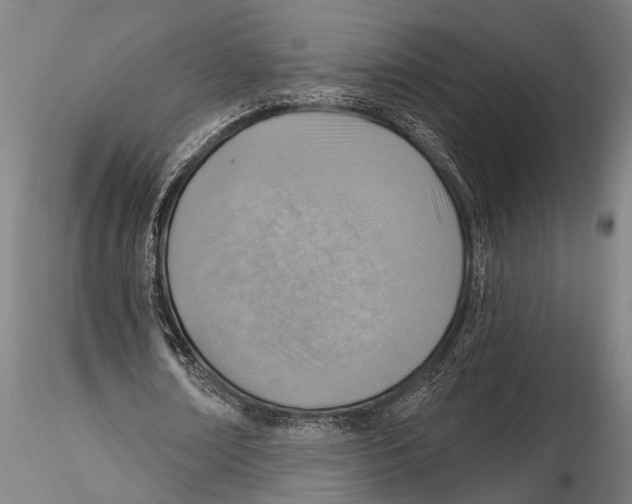 X0000115380674200912011206