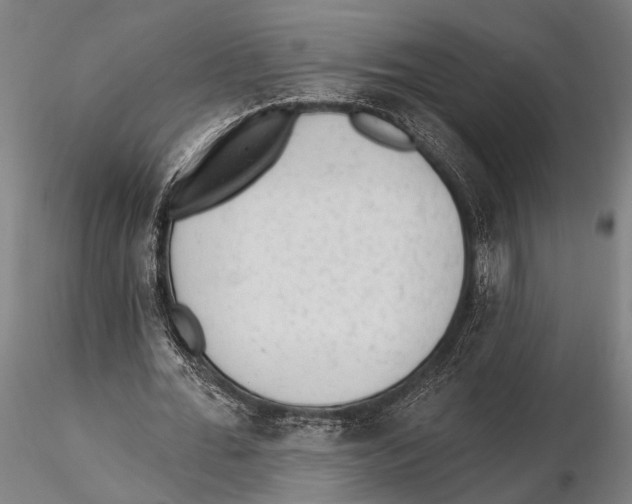 X0000115380676200912011206