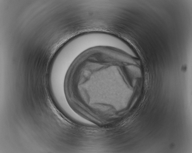 X0000115380677200912011206