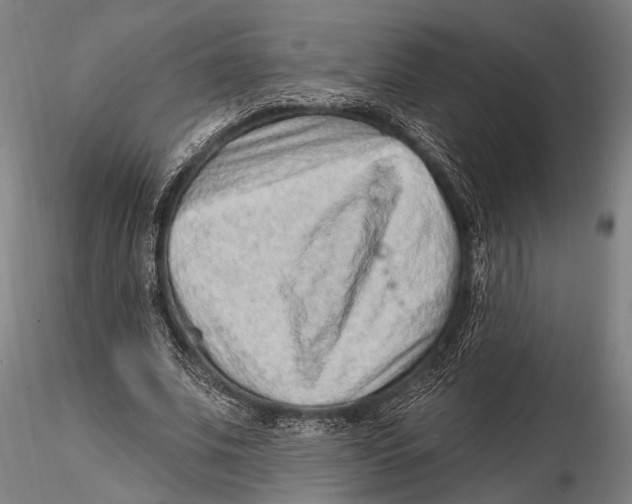 X0000115380679200912011206