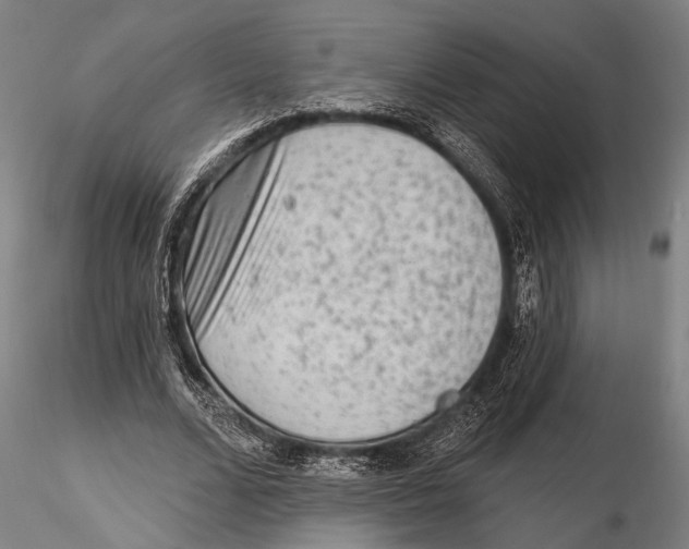 X0000115380680200912011206