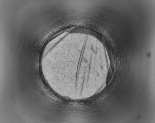 X0000115380681200912011206