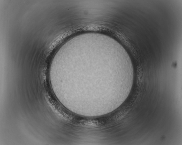 X0000115380683200912011206