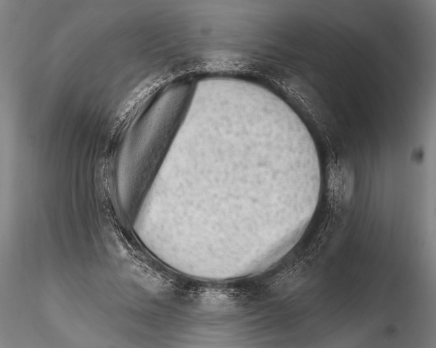 X0000115380684200912011206