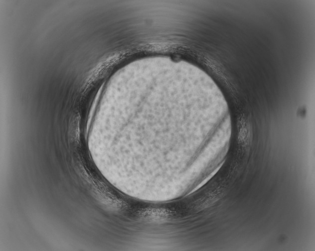 X0000115380685200912011206