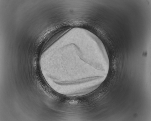 X0000115380687200912011206