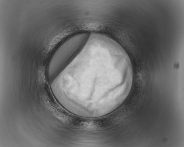 X0000115380688200912011206