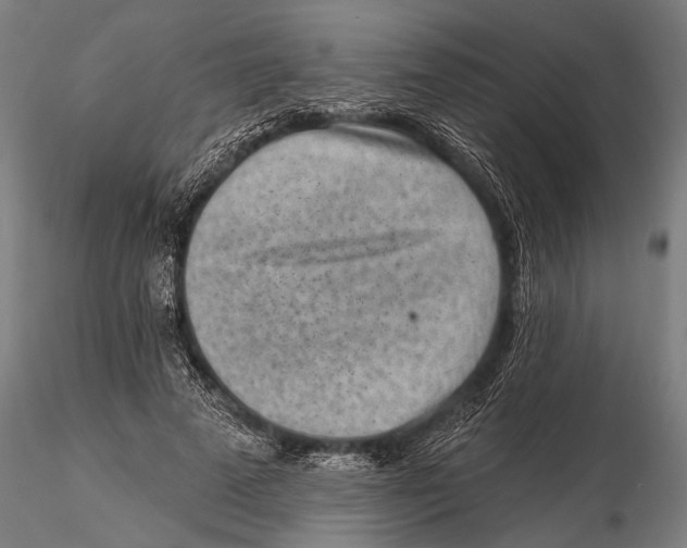 X0000115380689200912011206