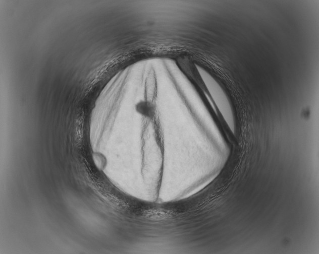 X0000115380691200912011206