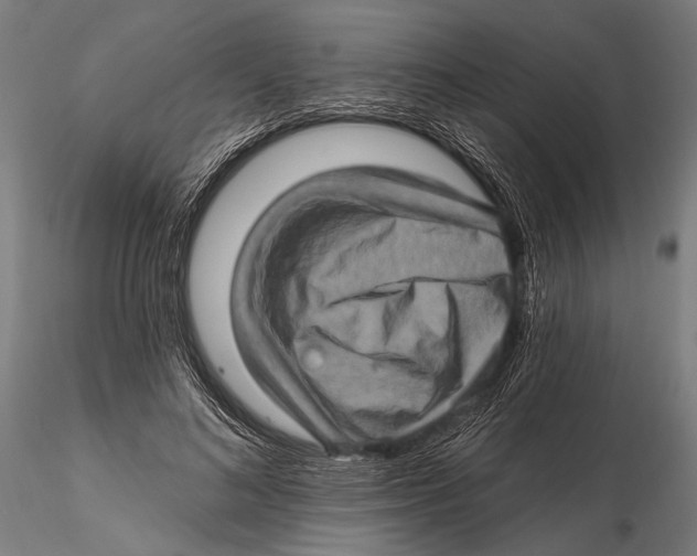 X0000115380692200912011206