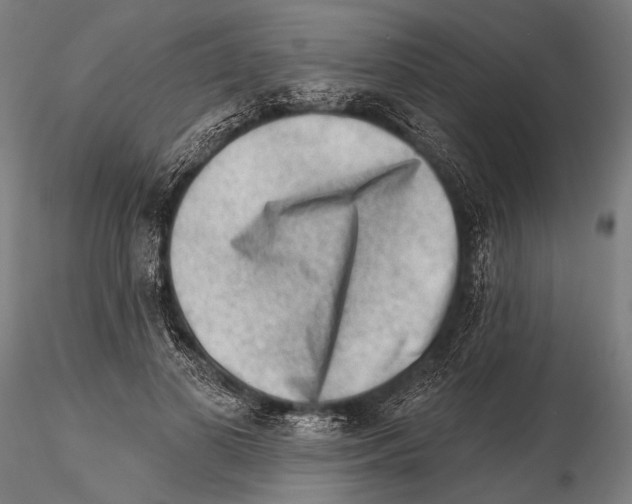 X0000115380693200912011206