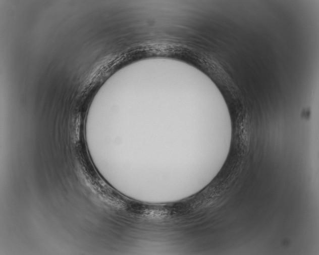 X0000115380694200912011206