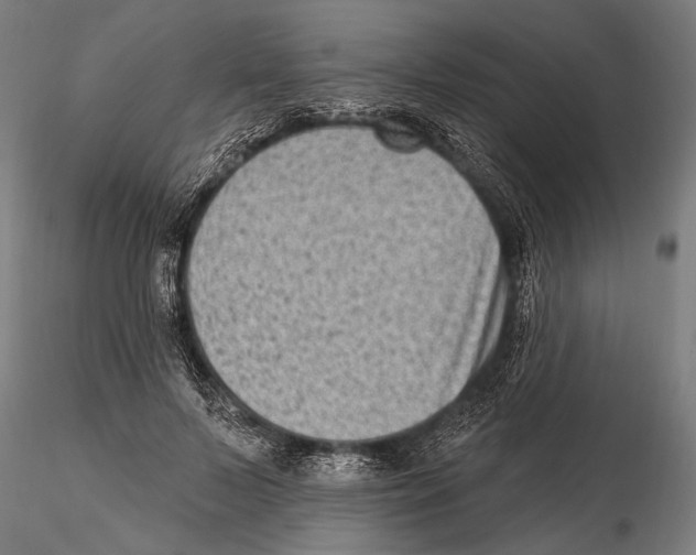 X0000115380695200912011206