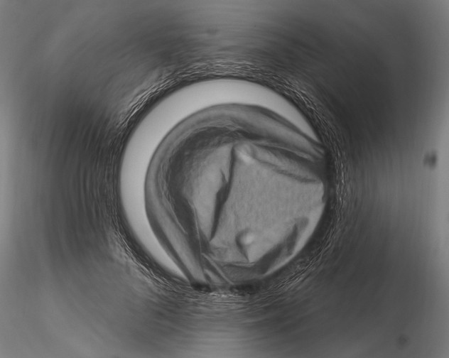 X0000115380696200912011205