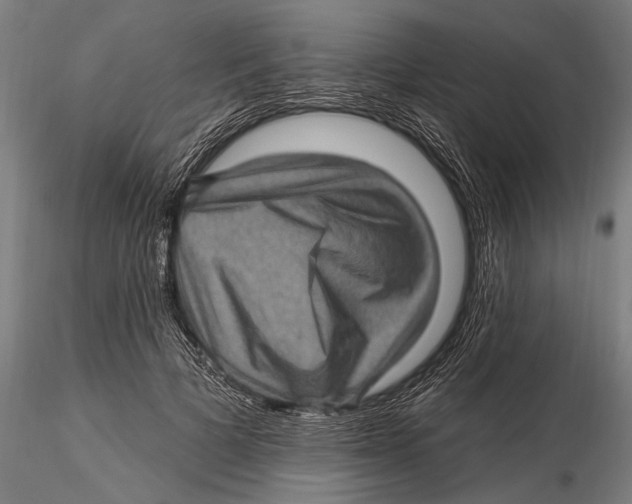 X0000115380697200912011205