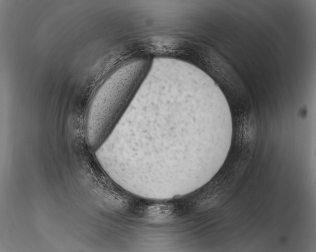 X0000115380700200912011205