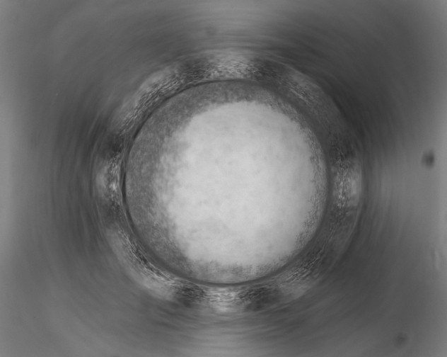 X0000115380701200912011205