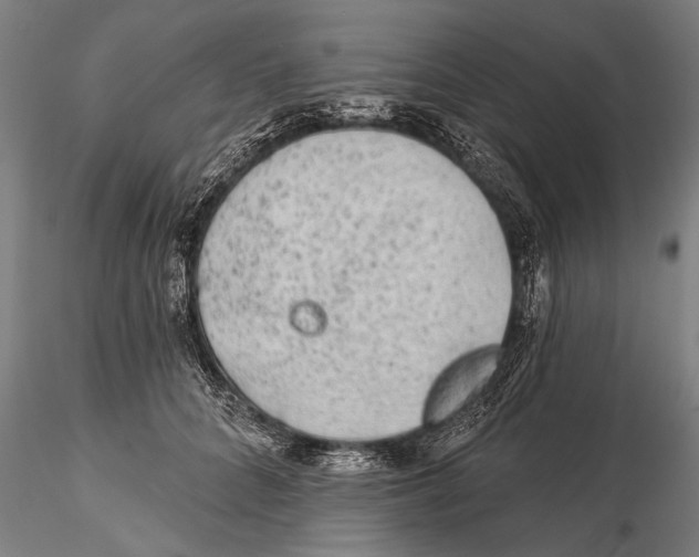 X0000115380704200912011205