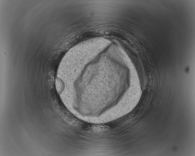 X0000115380707200912011205