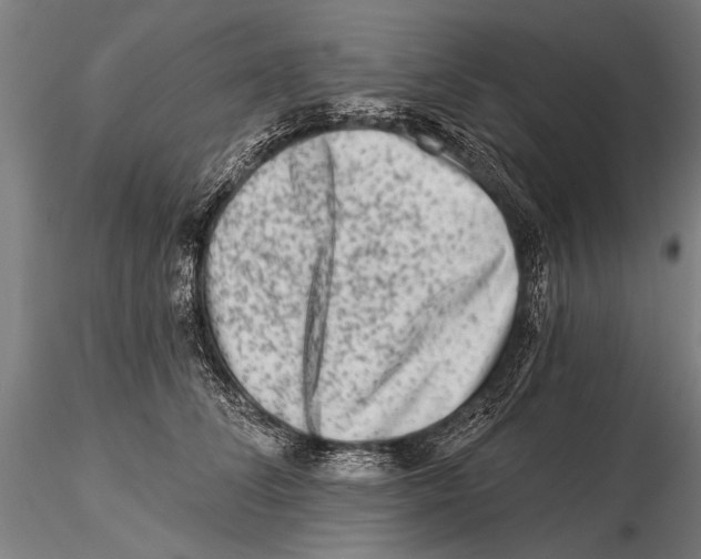 X0000115380708200912011205